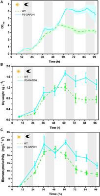 A Carbon Fixation Enhanced Chlamydomonas reinhardtii Strain for Achieving the Double-Win Between Growth and Biofuel Production Under Non-stressed Conditions